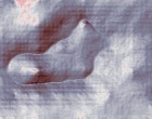 prototypen